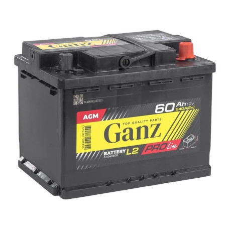 Аккумулятор GANZ PRO-Line 60ач 600а обр. пол.