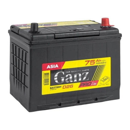 Аккумулятор GANZ PRO-Line JIS 65/700 D26 обр. пол.